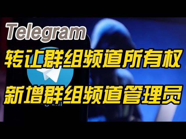 Telegram 群聊如何换群主？