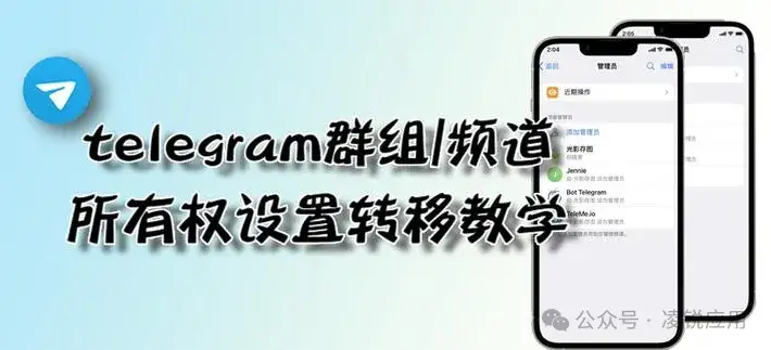 Telegram 群聊如何换群主？